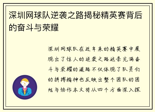 深圳网球队逆袭之路揭秘精英赛背后的奋斗与荣耀